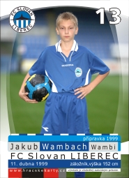 10_Wambach_Jakub